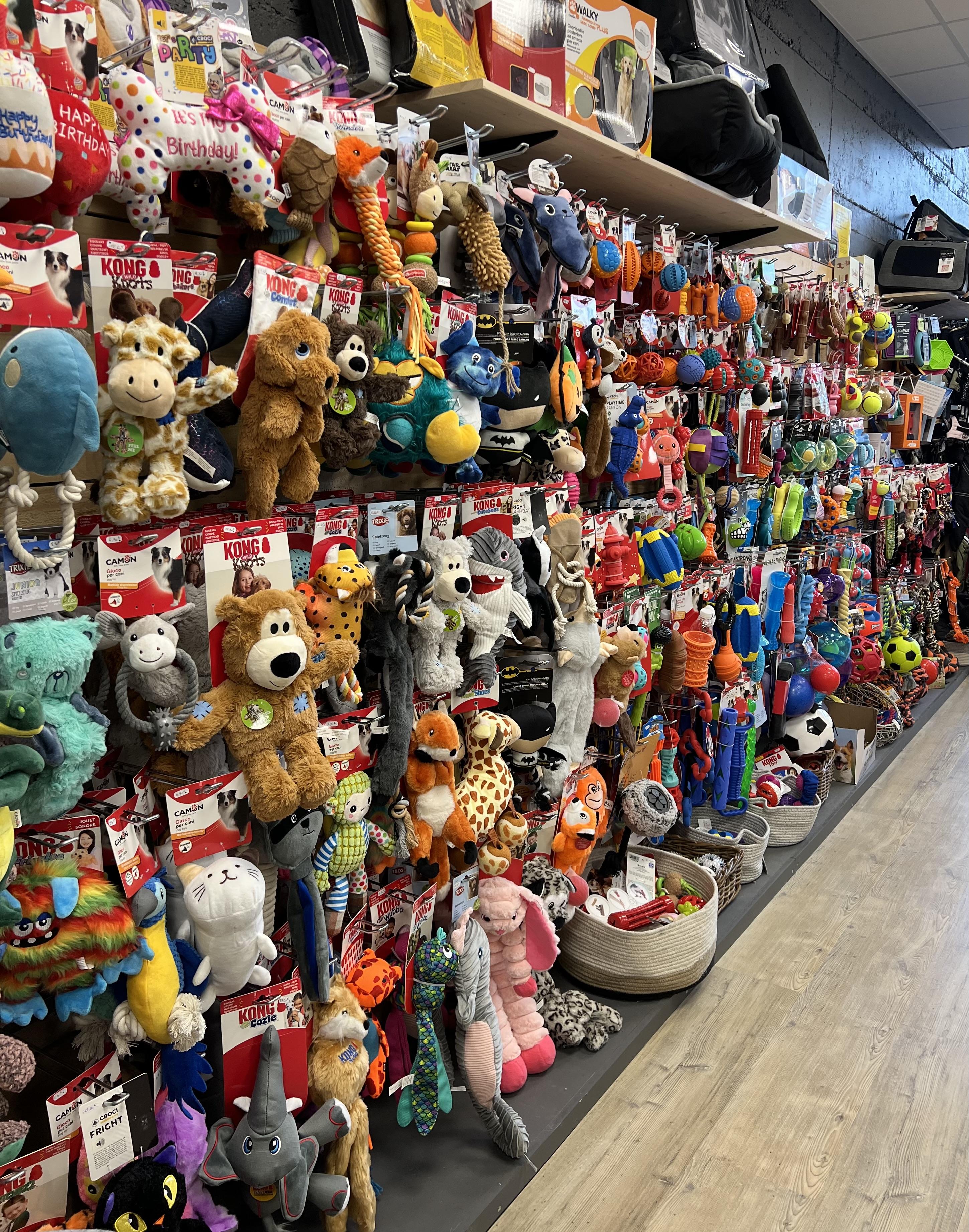 Façade boutique Canaldog