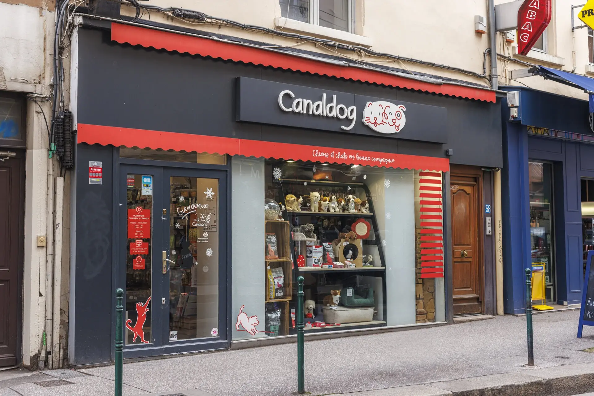 Canaldog Franchise